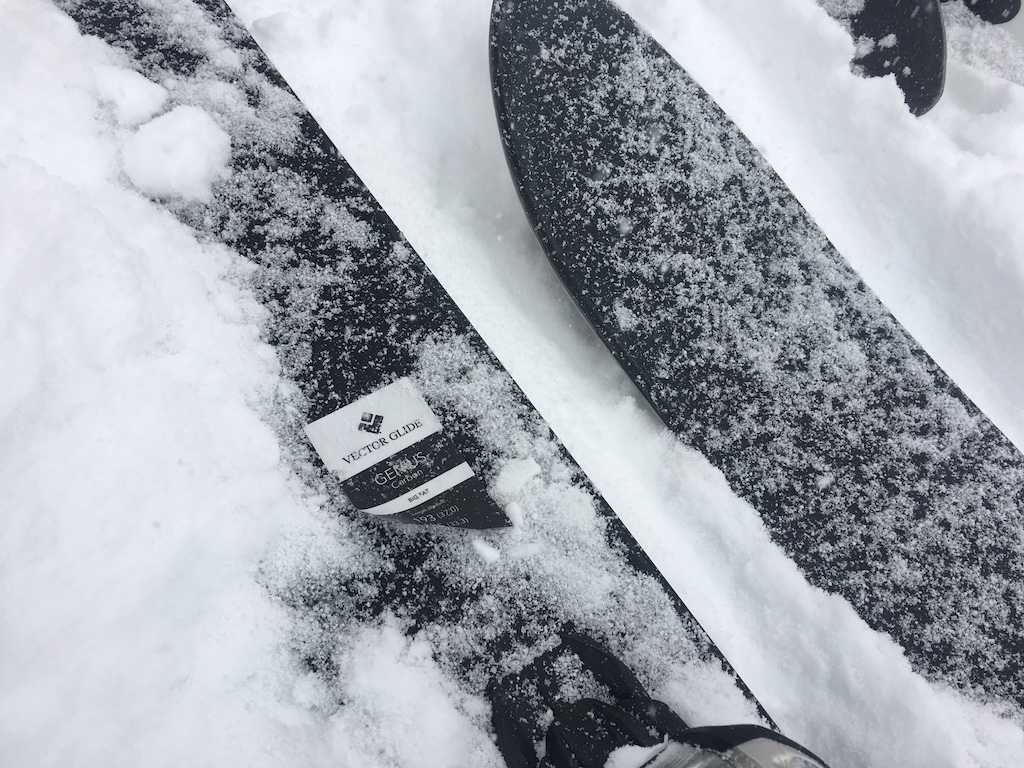 【スキー試乗】Vectorglide Genius carbon