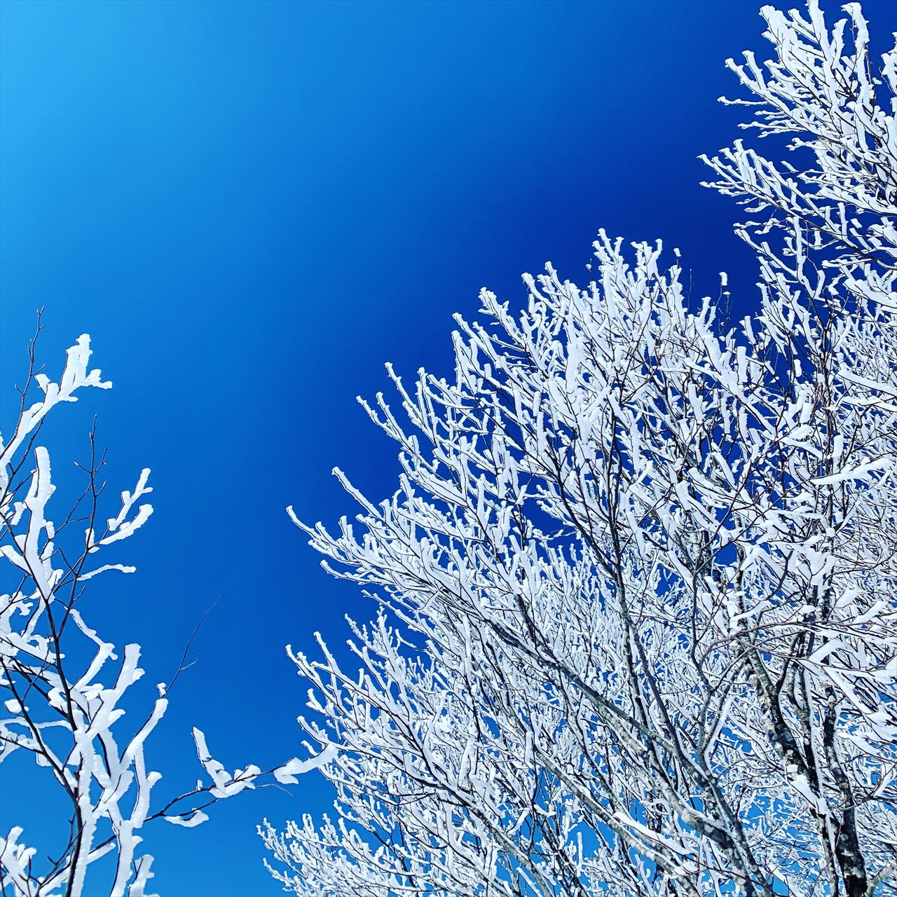 3/2 野沢温泉スキー場 <br>～今年も元気なエイプリ女子～