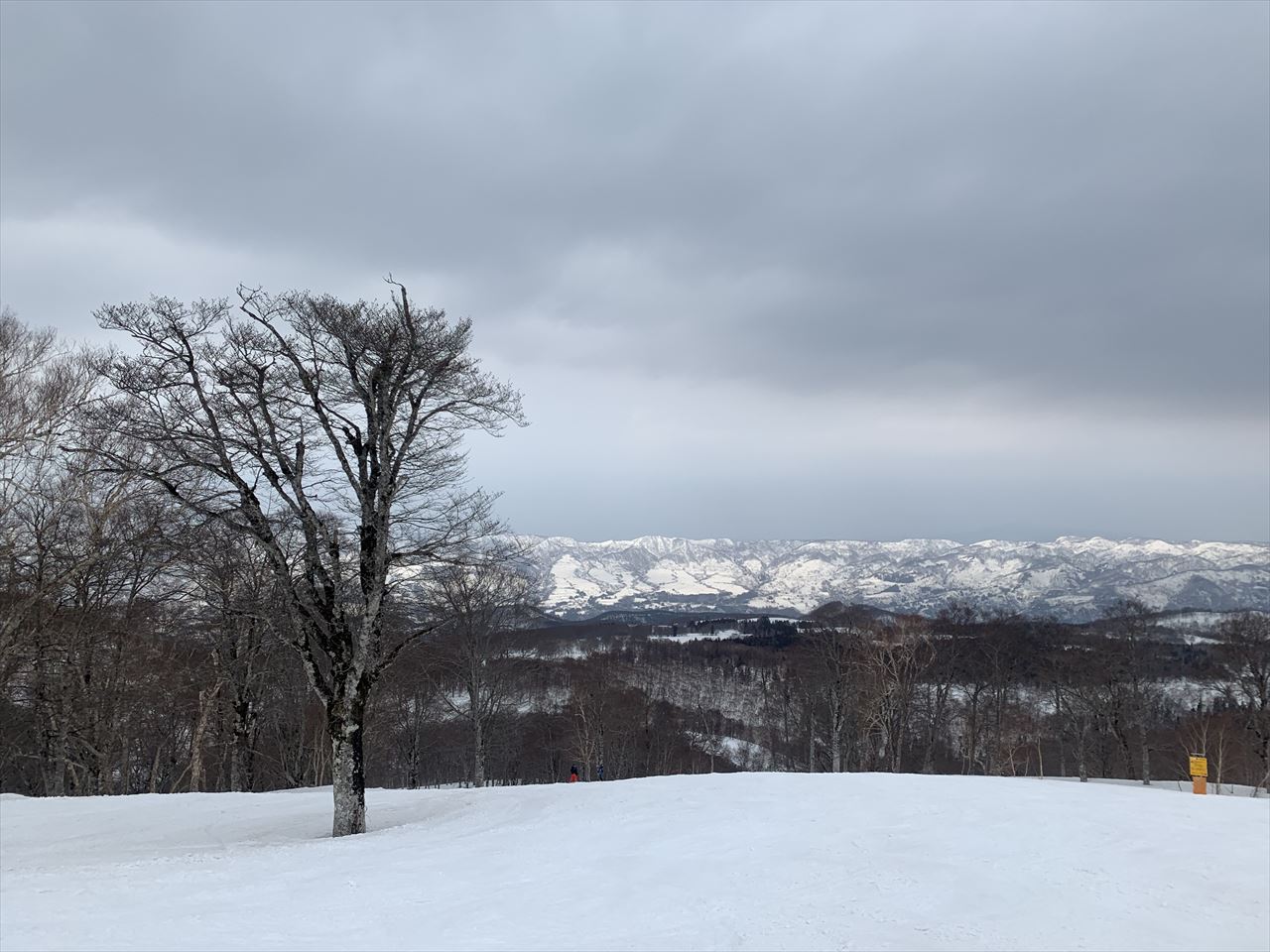 4/7 野沢温泉スキー場 <br>～悪雪での春板乗り比べ～