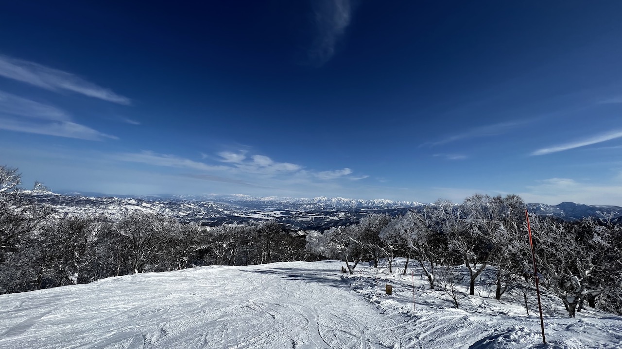 1/23 野沢温泉スキー場<br>〜ピーカン＆家族スキー〜