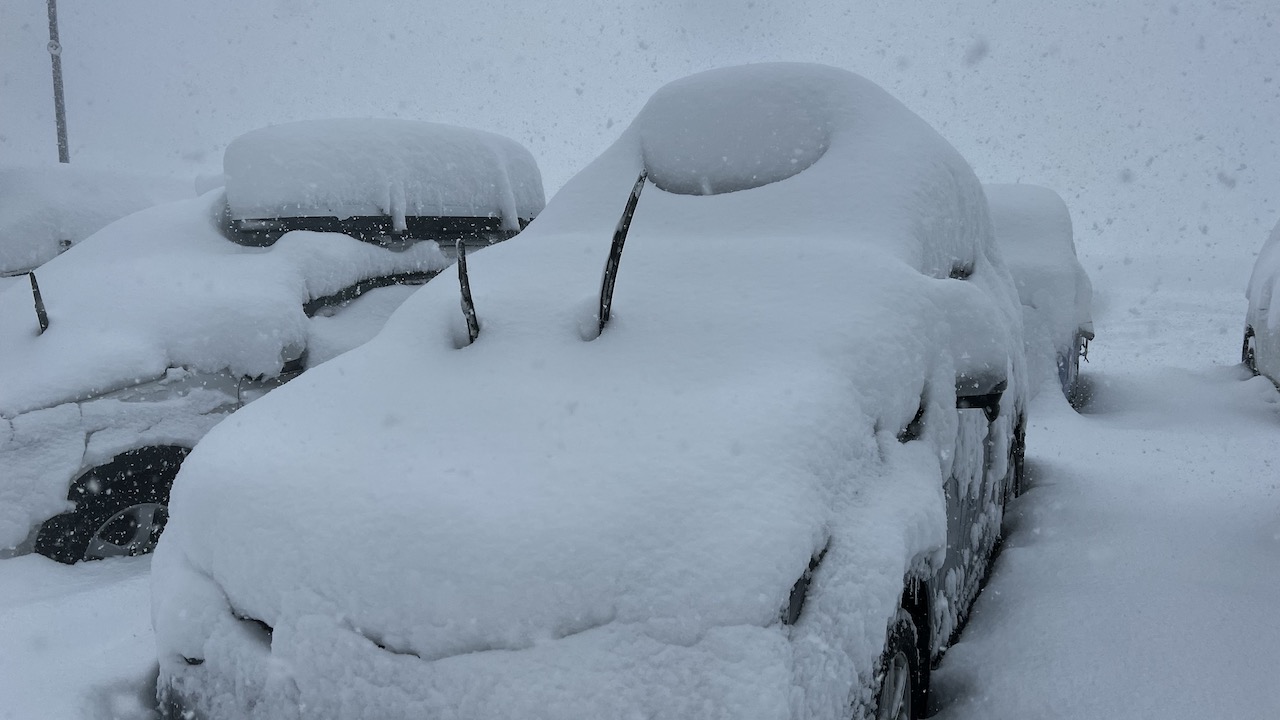 2/5 野沢温泉スキー場<br>〜またまたどパウ〜