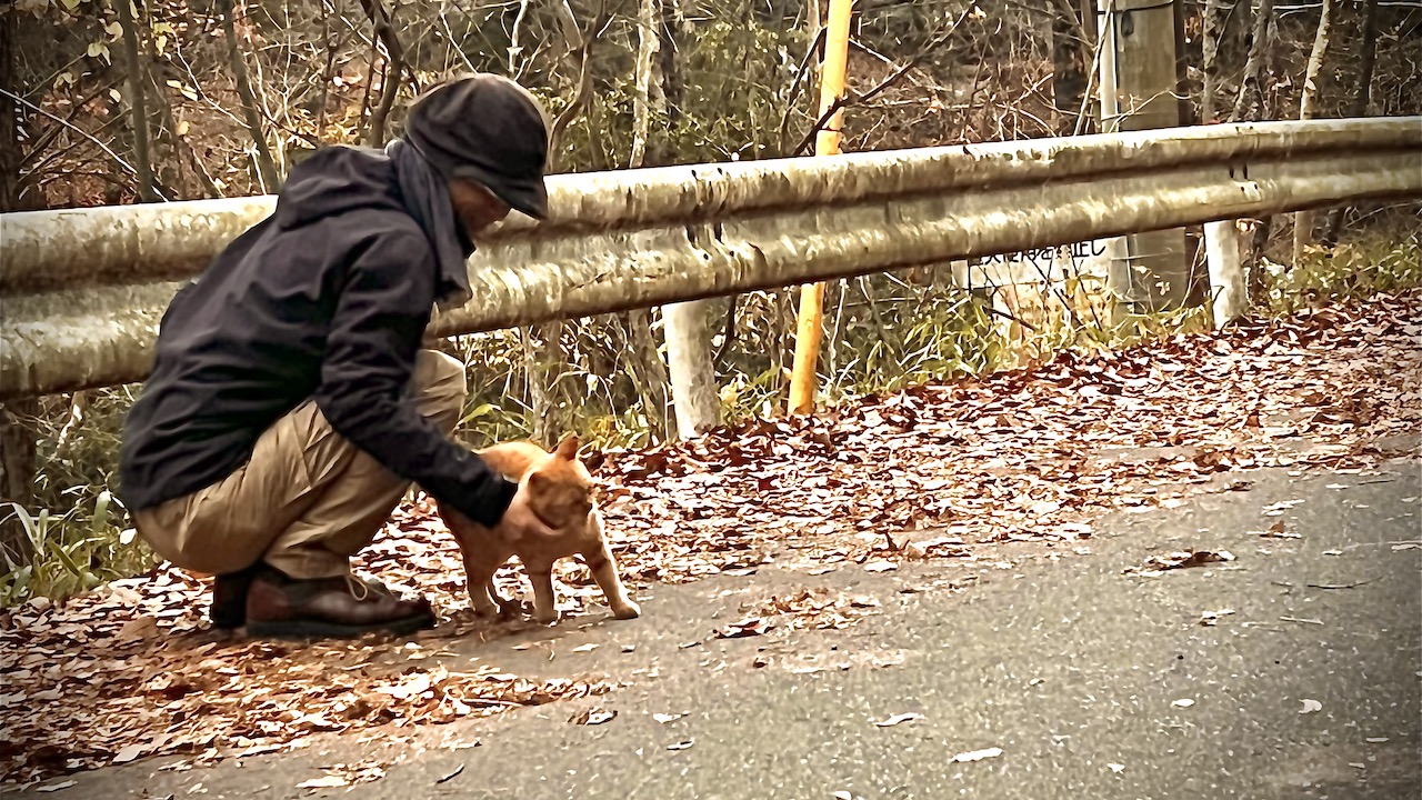 12/10 久しぶりのメンツで焼き芋デイキャン<br>〜ロケーション最高な小滝沢キャンプ場〜