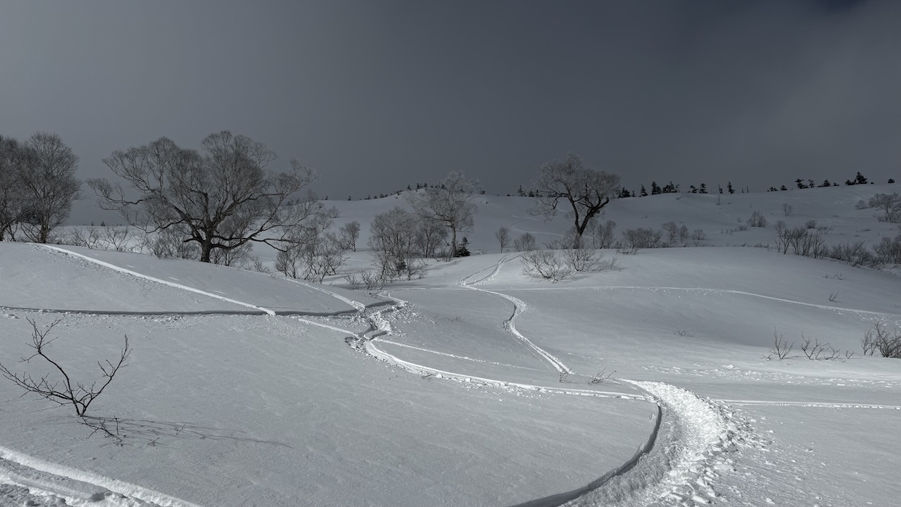 12/28 かぐらスキー場<br>〜滑って登って薮と戯れて〜