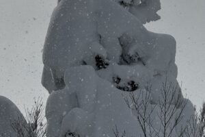 1/30-2/1 八甲田スキー場<br>〜交通障害出るほどの豪雪はどぱう祭り〜