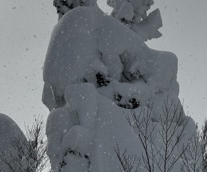 1/30-2/1 八甲田スキー場<br>〜交通障害出るほどの豪雪はどぱう祭り〜