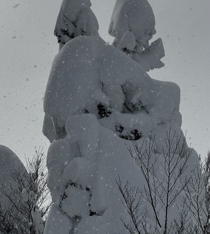 1/30-2/1 八甲田スキー場<br>〜交通障害出るほどの豪雪はどぱう祭り〜